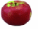 mcintosh apple